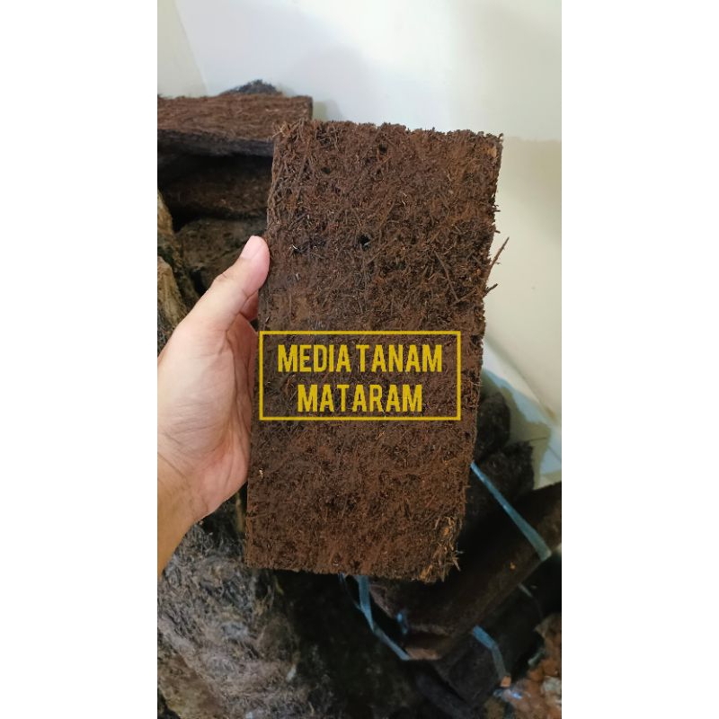 Papan Pakis Media Anggrek | Papan Pakis Tempel | Papan Pakis Anggrek