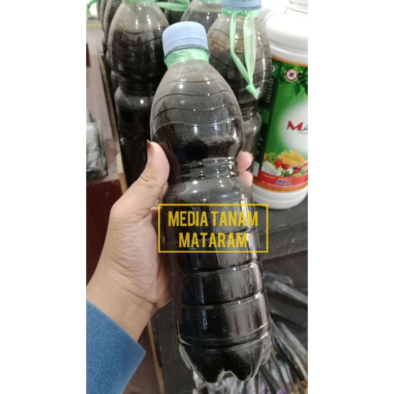 Molase Murni Tanpa Campuran | Tetes Tebu Molase 1KG | 2KG