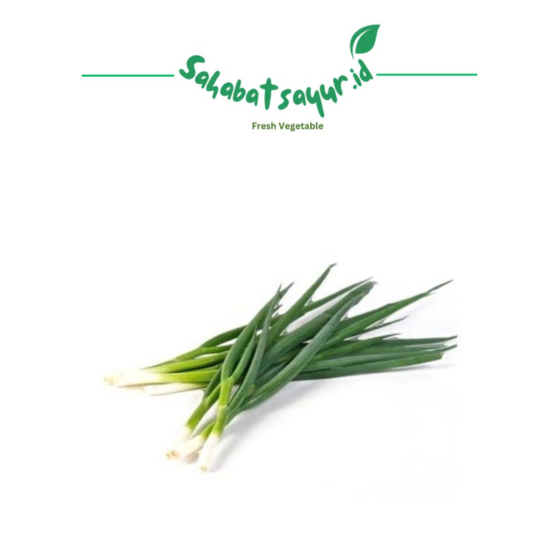

Daun bawang besar / Pre / per pack fresh -Surabaya