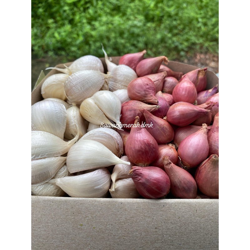 

Bawang Merah & Bawang Putih Campur Bersih Kering