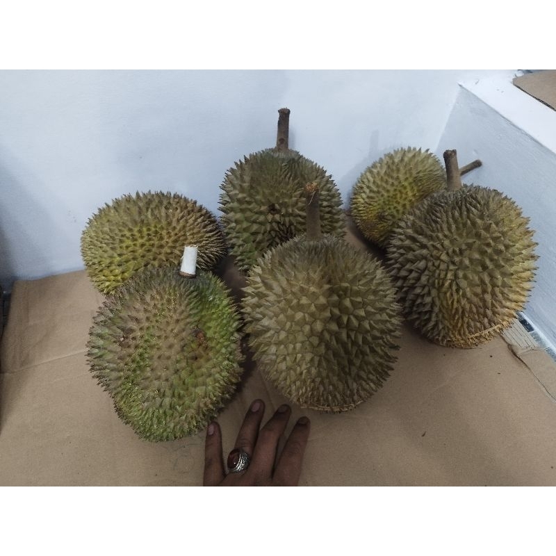 

durian