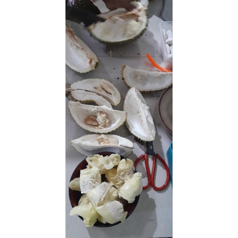 

Durian bido kupas wonosalam fresh.
