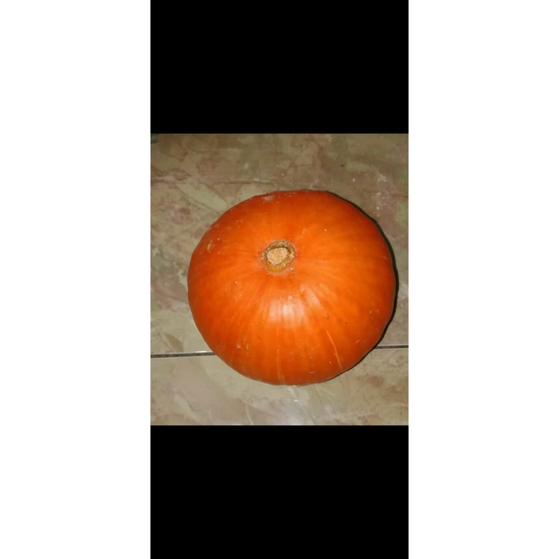

Kabocha / Labu jepang