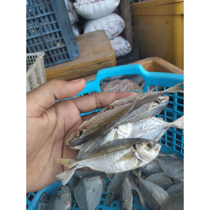 

Ikan Selar Ikan Kering Tawar