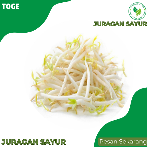 

Toge Jepang Super - Toge Segar 1 kg - Juragan Sayur