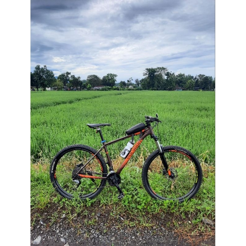 Polygon PREMIER 5 TAHUN 2019