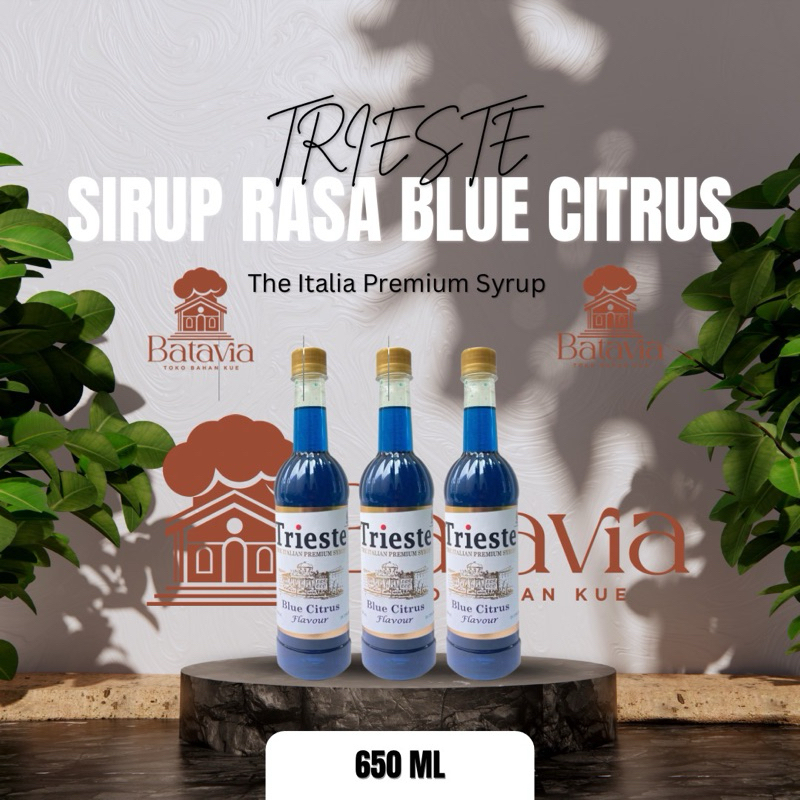 

Trieste Sirup Rasa Blue Citrus Flavour 650 ML | Sirup Blue Citrus