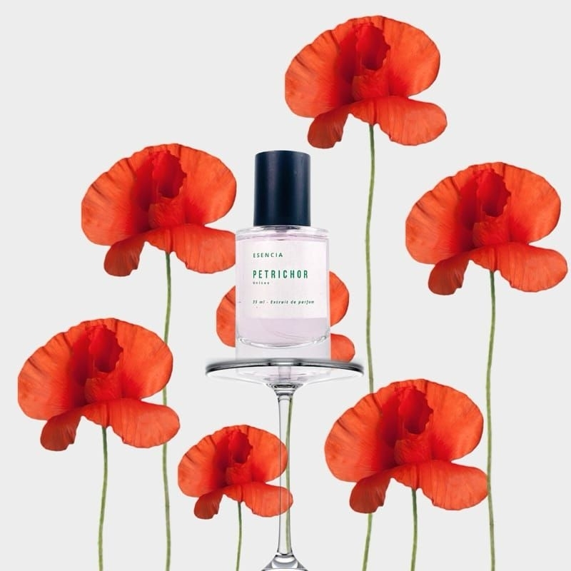 Esencia perfume - Petrichor 35 ml