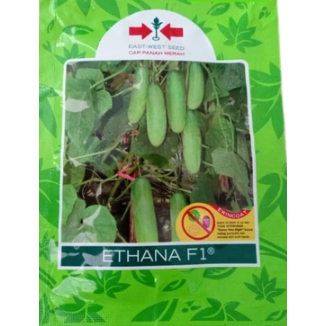 175 BUTIR BENIH TIMUN ETHANA F1 CAP PANAH MERAH