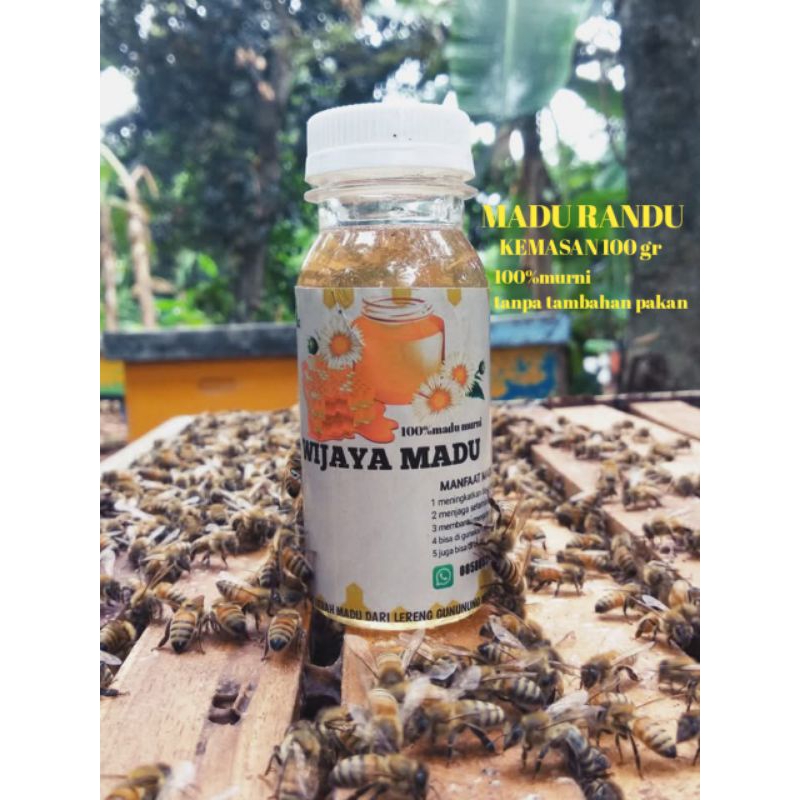 

Madu Randu Kemasan 100 gr madu murni madu randu semua jenis madu