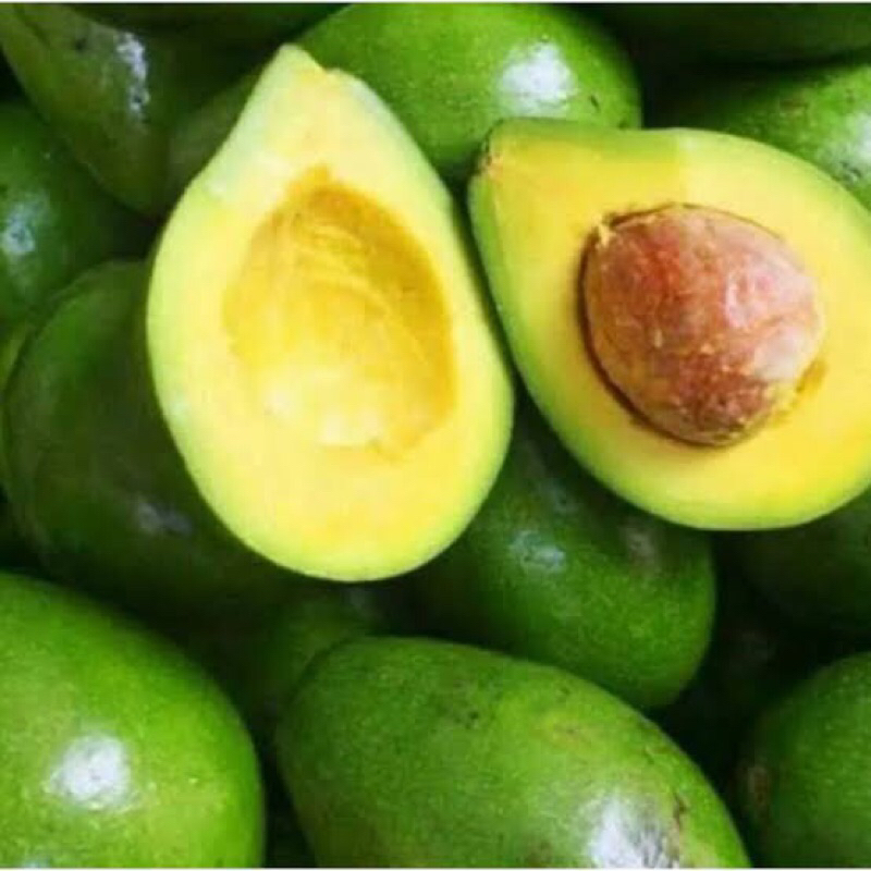 

buah alpokat / alpukat madu mentega manis 1 KG