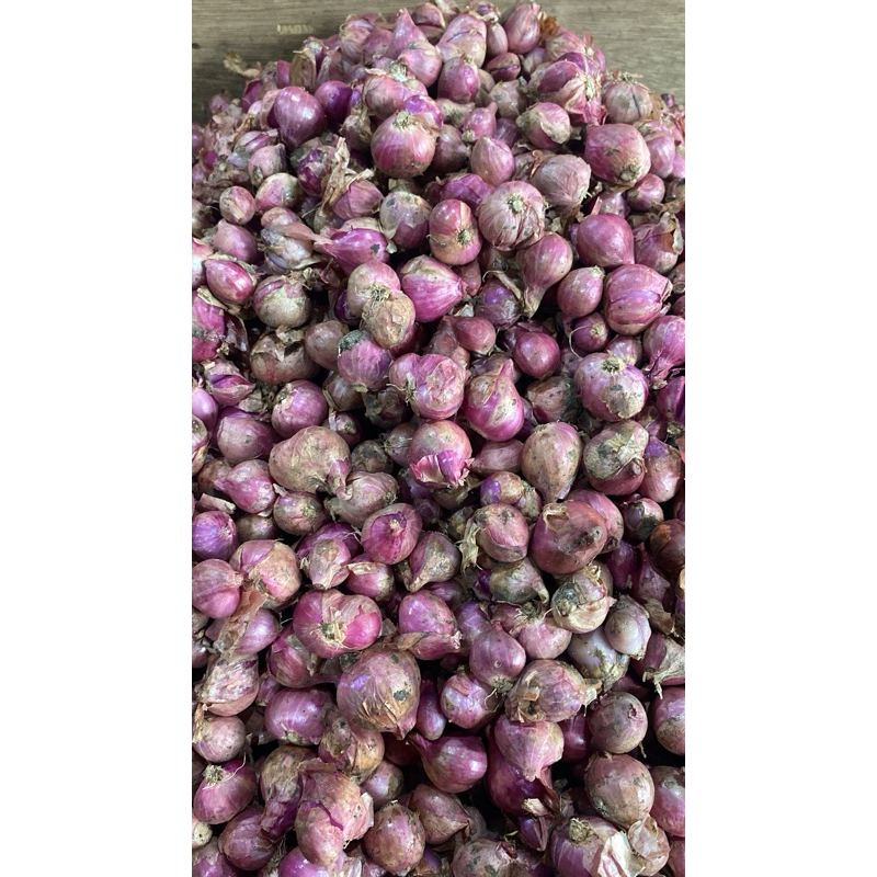 

BAWANG MERAH GROSIR