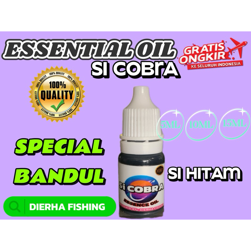 essen oil si cobra hitamSpecial Bandul