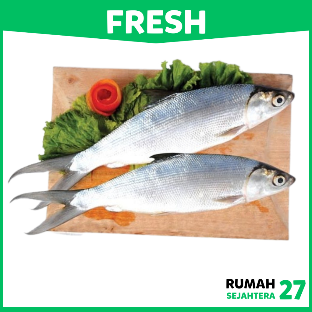 

KIRIM INSTANT DEPOK Ikan Bandeng Fresh Frozen Beku 1 Kg