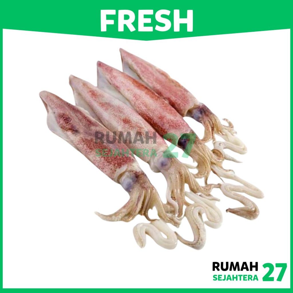 

KIRIM INSTANT DEPOK Cumi Fresh Frozen Beku 1 Kg