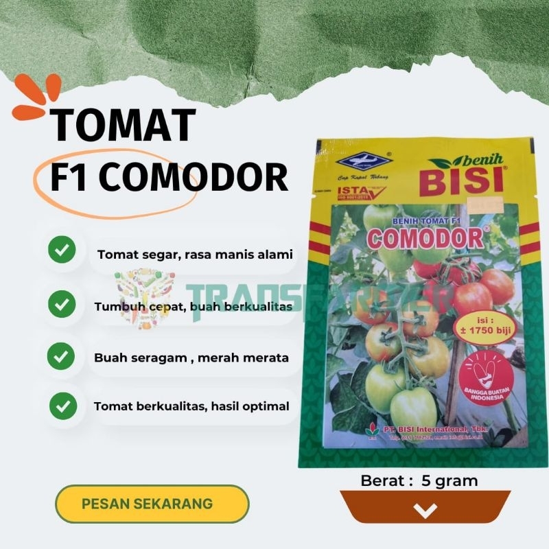 Benih Tomat F1 COMODOR