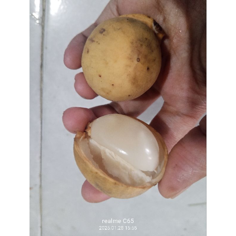 

Dukuh pelambang manis 1kg