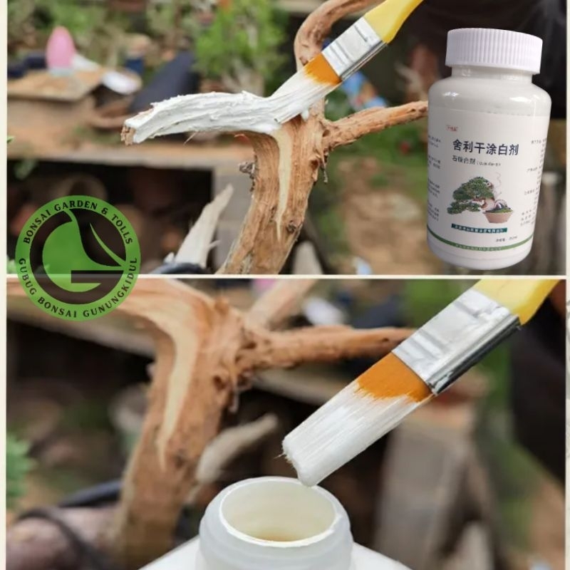 Raflezia Bonsai Lime Sulfur For Dried Branches Whitening Lime Sulfur Bonsai Japan Quality