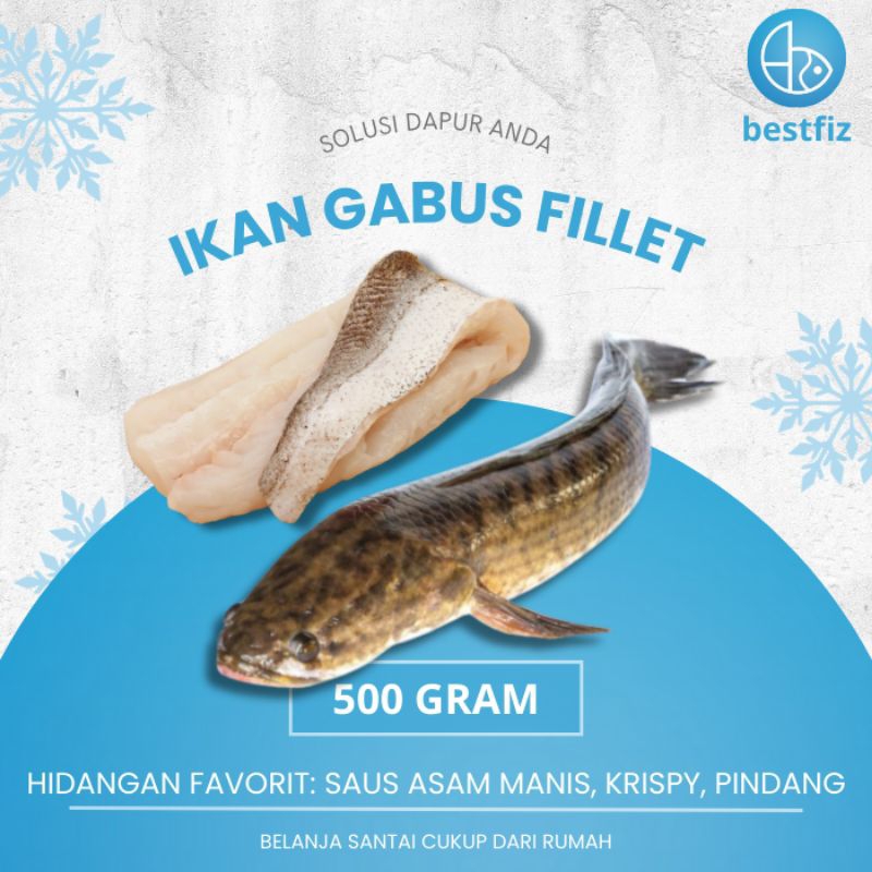 

Ikan Gabus Fillet