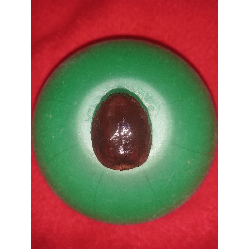 Muncang aduan Jawa pedang kali wiro ORI ukuran jumbo