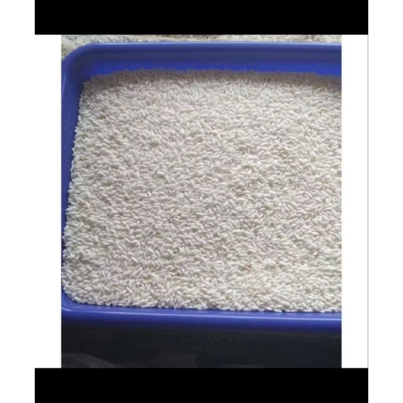 

beras ketan 1kg