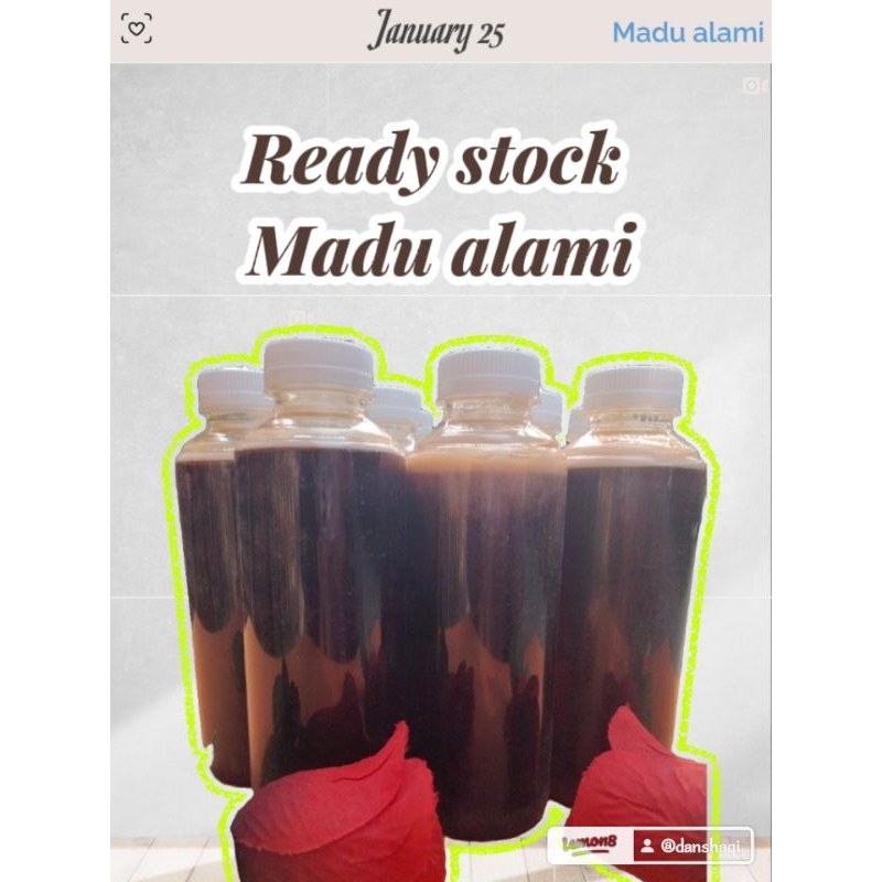 

Mishbee Honey Madu Lebah Petualang asli