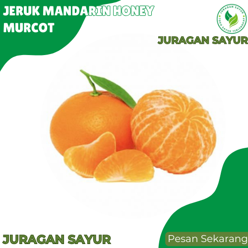 

Jeruk Mandarin Honey Murcot - Jeruk Mandarin Super - Juragan Sayur