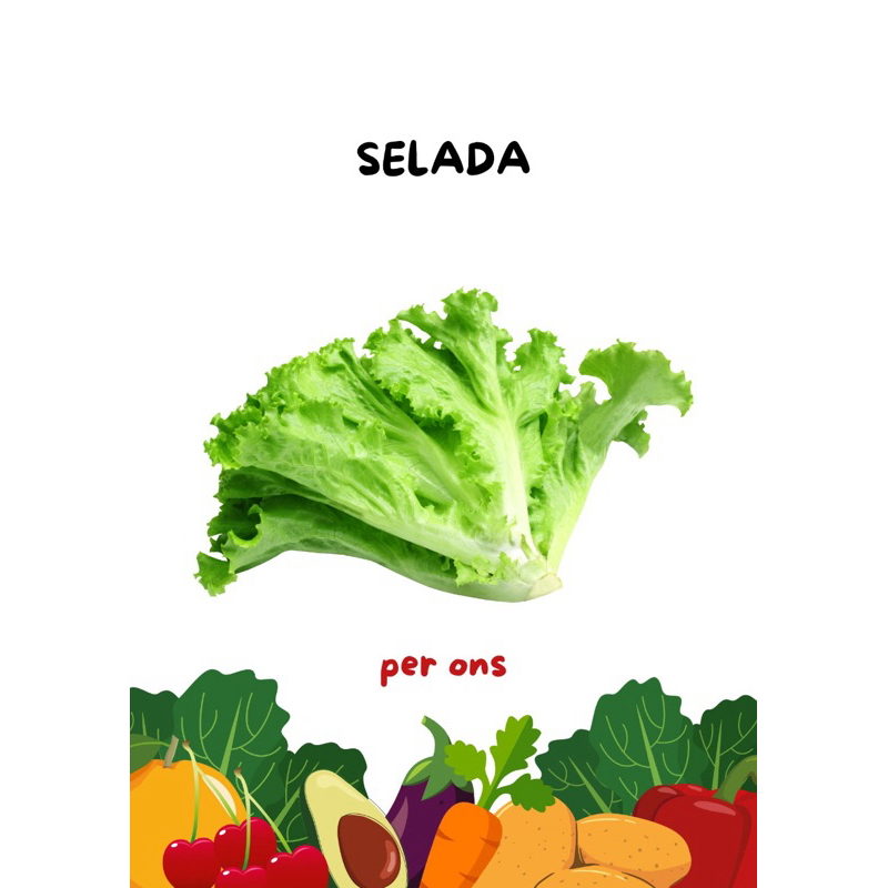 

Selada fresh by kang sayur local pride