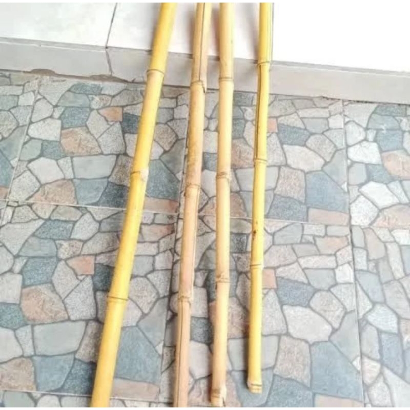 TONGKAT BAMBU KUNING 120 CM