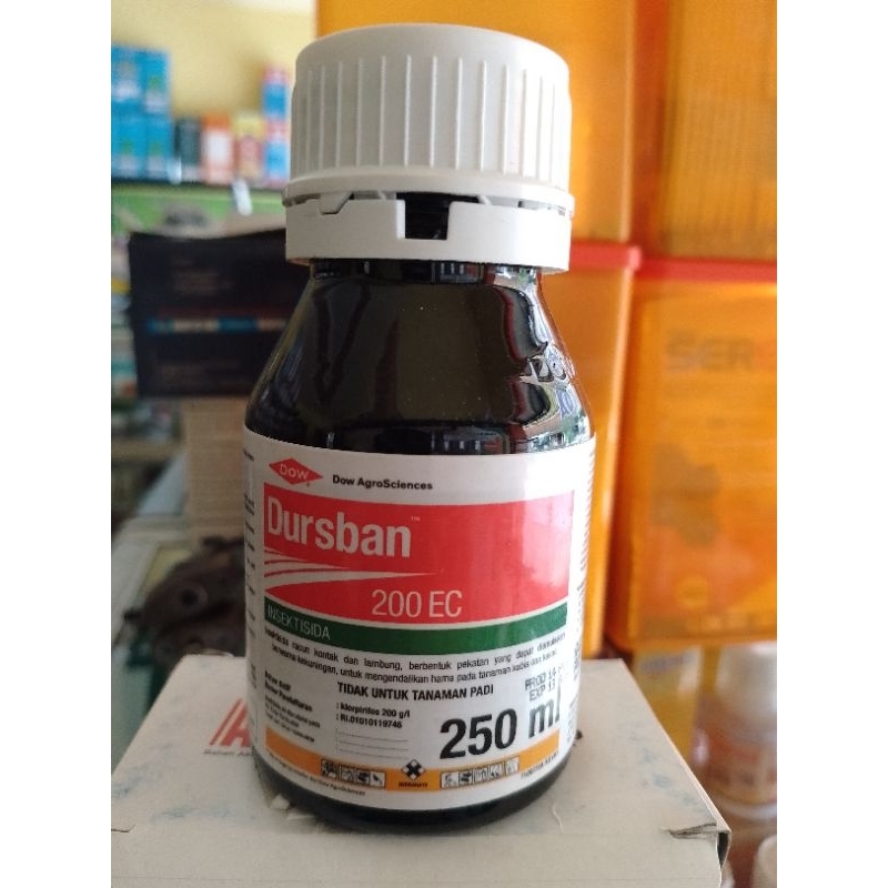 Insektisida DURSBAN 200EC ( 250ml )