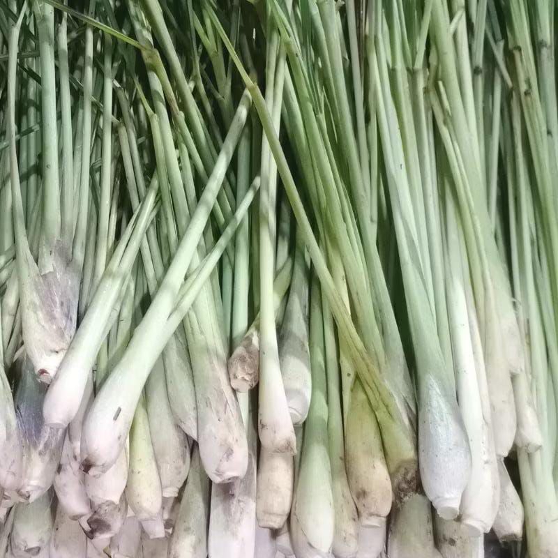 

Serai Sereh Wangi Segar 1 kg / Serei Fresh / Sere