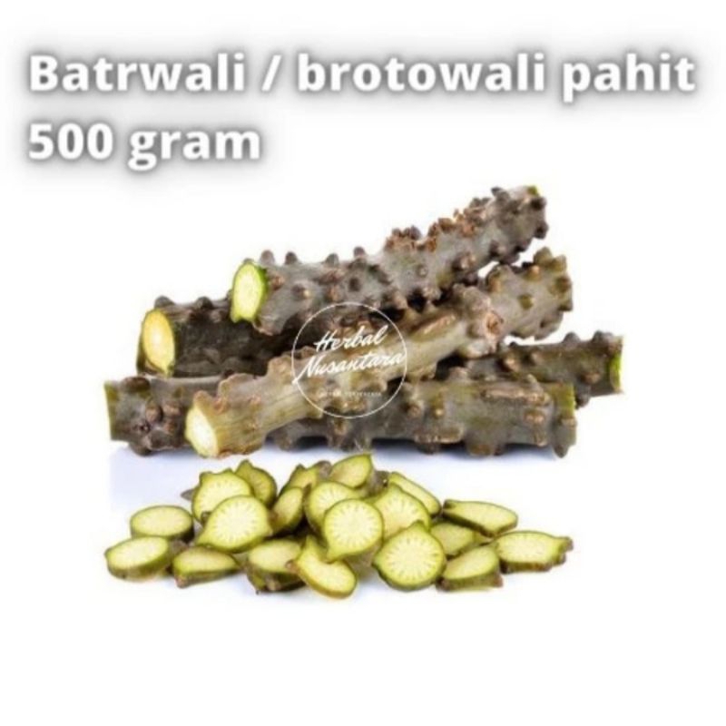 

batrawali segar / brotowali untuk sapih / btotowali segar langsung petuk bisa di tanam kembali 500gram