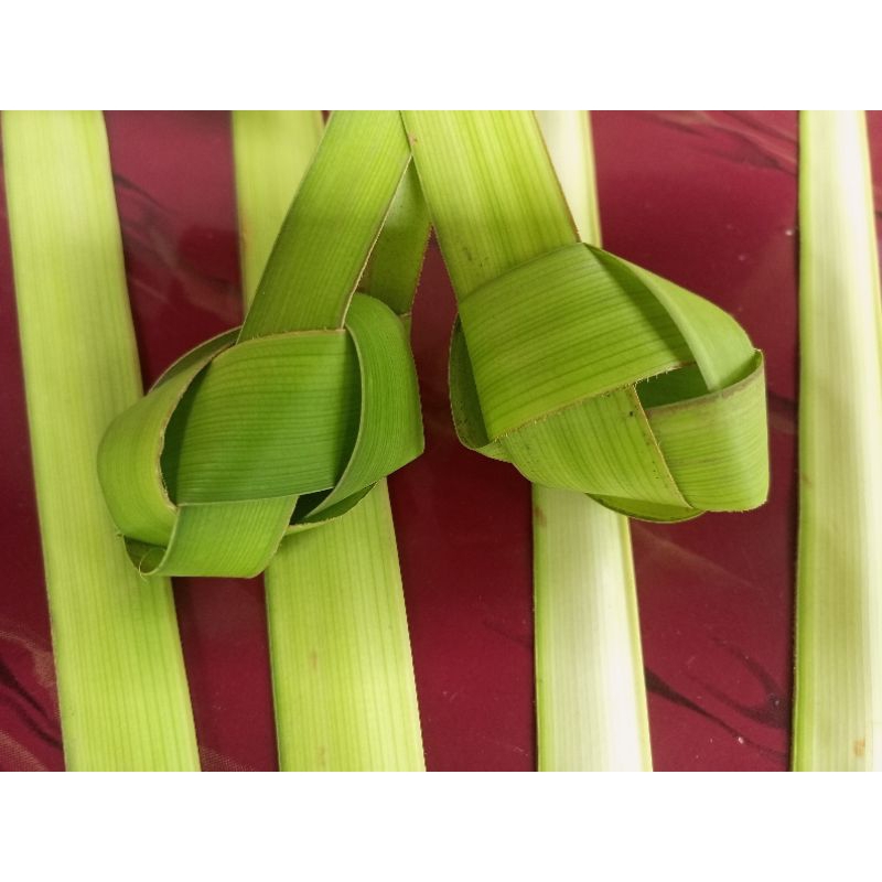 

KETUPAT MINI / KETUPAT KOSONG KECIL
