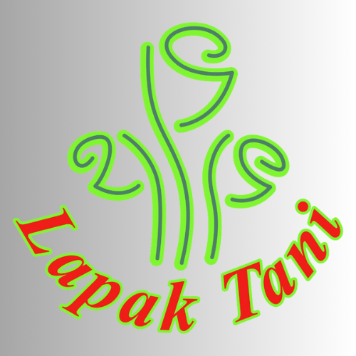 BUNDLING ANGGREK DENDRO JUMBO BULAT 2 PCS