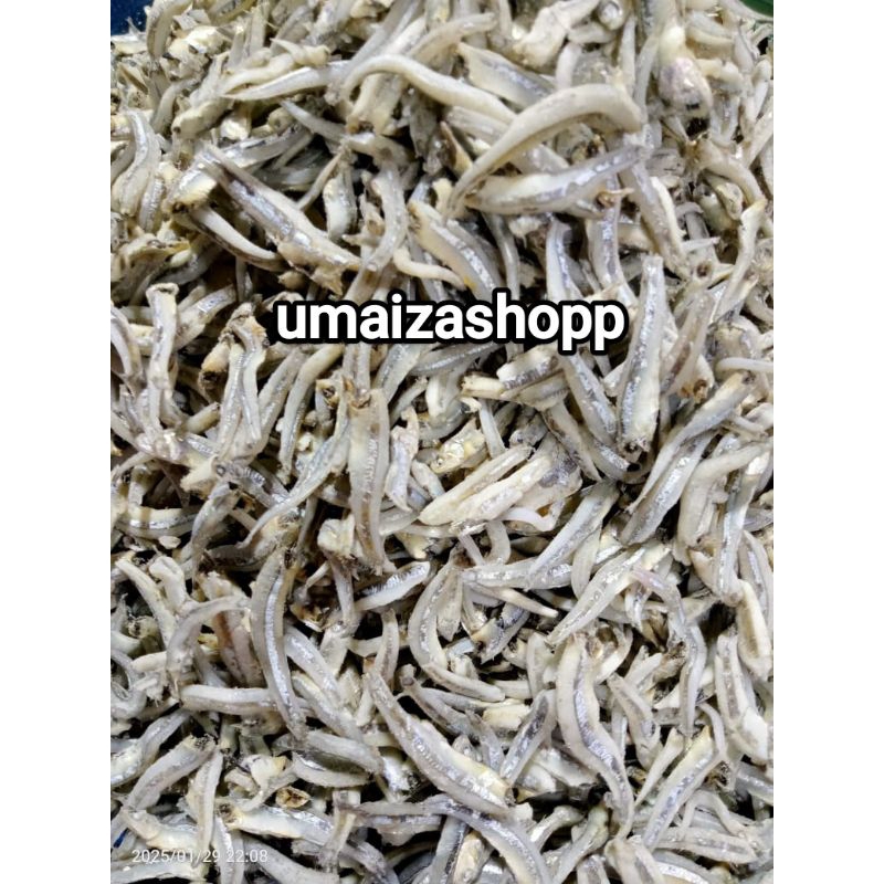 

Ikan Teri buntio 500gr