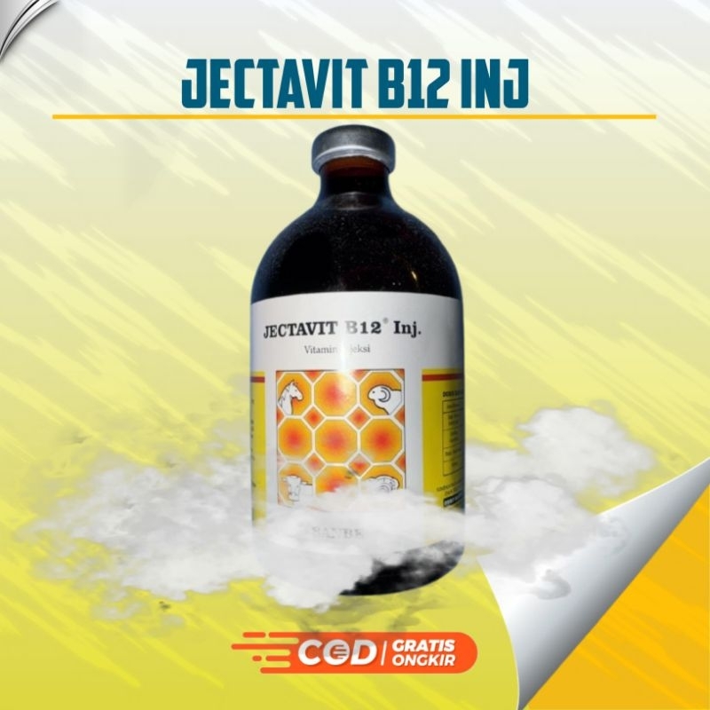 JECTAVIT B12 Vitamin Injeksi 100 ml Inj