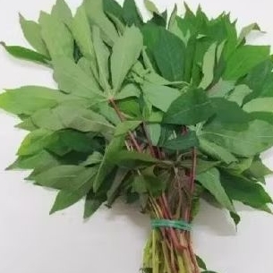 

DAUN SINGKONG SAYUR/URAPAN 500GRM