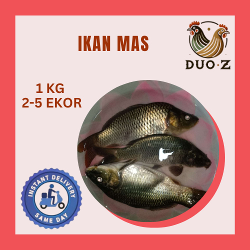 

Ikan Mas Instan Only area Bandung Cimahi dan Sekitarnya