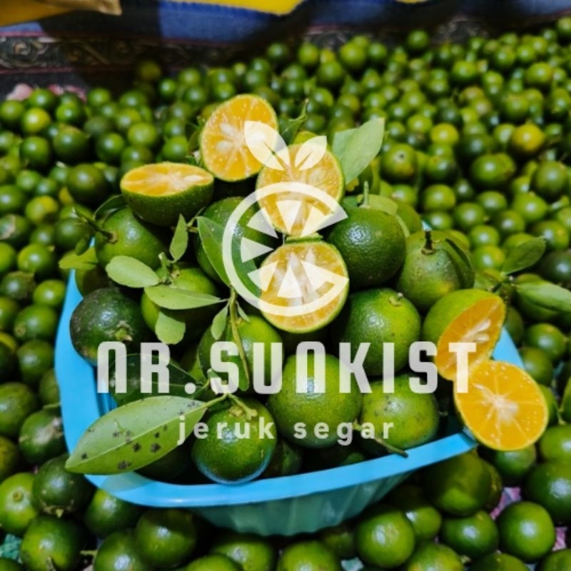

1kg jeruk Sonkit/jeruk Kasturi/jeruk kancing/Jeruk Lemon cina