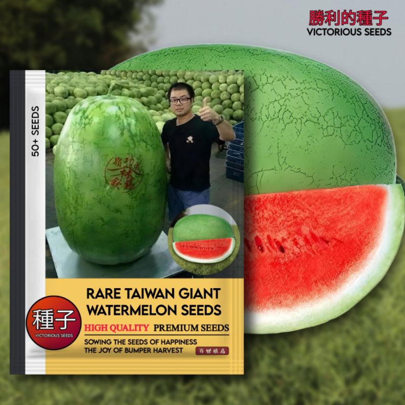 Isi (50 Butir) Benih Semangka Raksasa Taiwan Kemasan Original Import