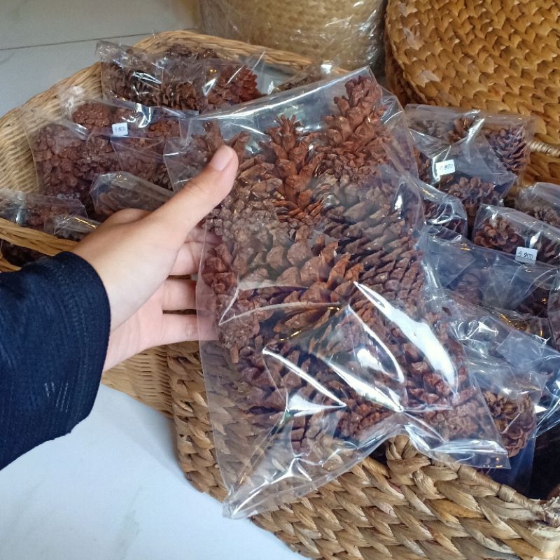 Bunga Pinus Kering / Bunga Hias Meja / Bunga Kering Hiasan Meja / hiasan dekorasi hampers