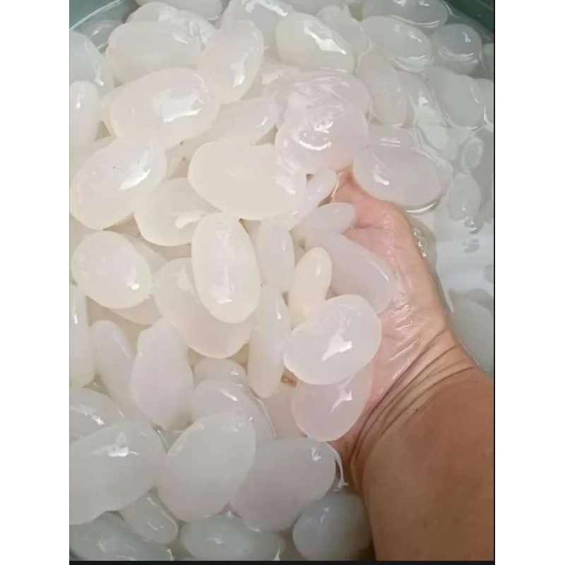 

KOLANG KALING ASLI TAPANULI SELATAN SUPER