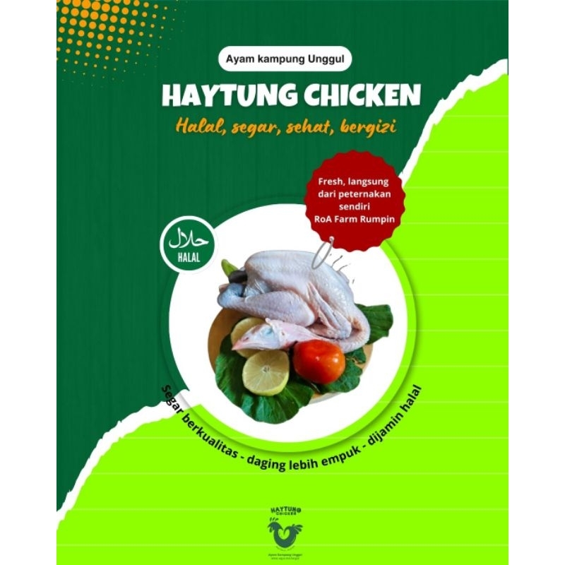 ayam kampung, daging ayam kampung, ayam sehat, daging ayam sehat, ayam kampung segar, daging ayam ka