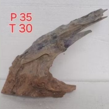 Kayu Rentek Aquascape