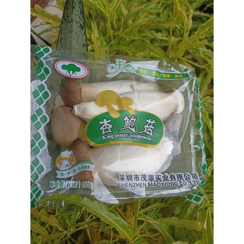 

Jamur King Oyster Fresh