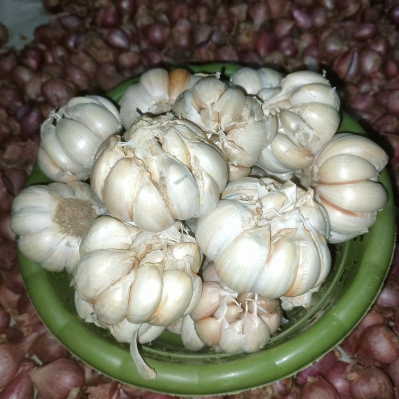 

Bawang putih kutting murah Fresh