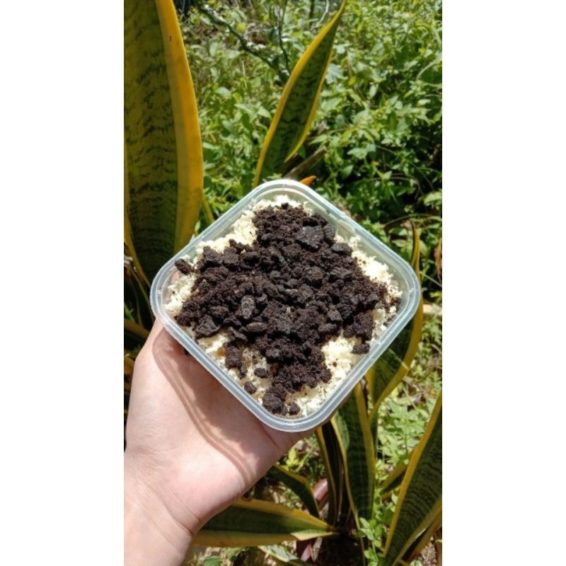 

Desert Frozen Khusus Makassar