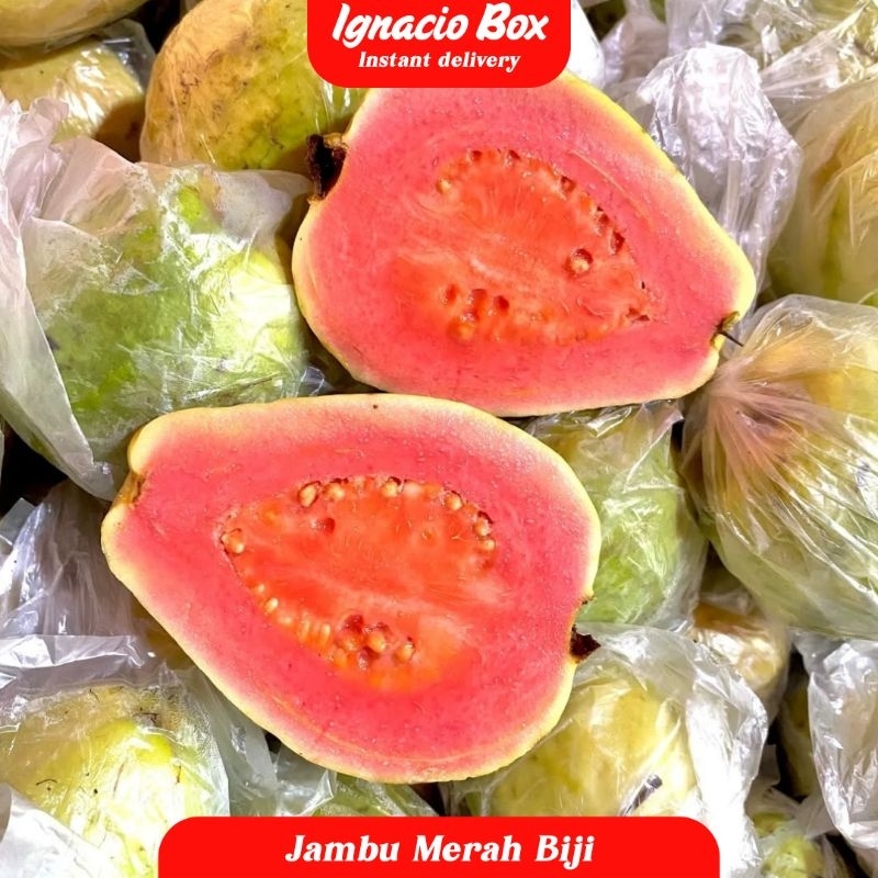 

Jambu Merah Biji Super 1Kg Segar IgnacioBox