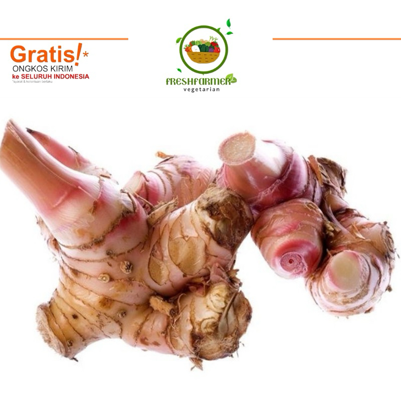 

laos lengkuas murah meriah promo super beras