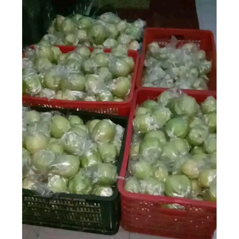 

jambu kristal